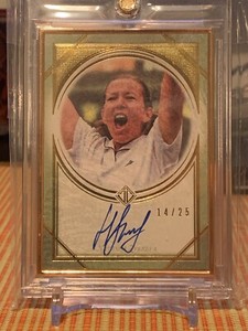 2020 Topps Transcendent Tennis HOF NATASHA ZVEREVA Gold Framed BLUE Auto /25