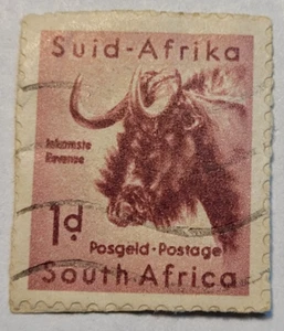 Sudáfrica/SUID AFRIKA ~ Animal ~ 1d Sello Rojo ~ Cancelado/Usado ~ 1943 ~ E01 - Imagen 1 de 6