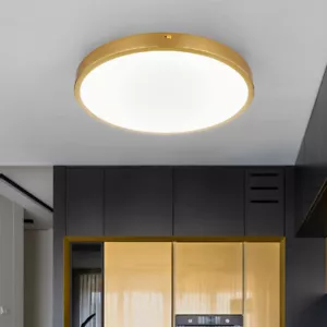 Deckenleuchte Schlafzimmerlampe Deckenlampe Messing LED Bürolampe warmweiß H 3cm - Bild 1 von 8