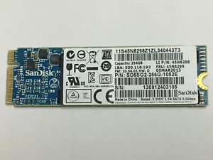 SSD 256GB SD5SG2-256G-1052E Lenovo GENUINE LABELED for Thinkpad X1 Carbon Laptop - Picture 1 of 7