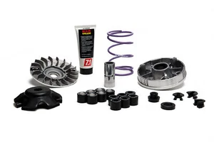 MALOSSI 5118238 VARIATORE MULTIVAR MHR TEAM 2 ALUMINUM PIAGGIO ZIP SP 50 2001-> - Imagen 1 de 2