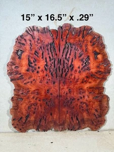 Australian RED GUM BURL - Set abbinato a libri chitarra legno esotico liutaio legname - Foto 1 di 10