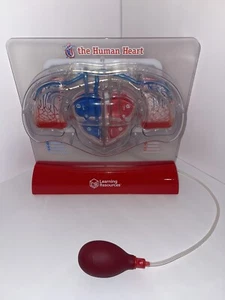 Learning Resources Pumping Heart Modell - 1 Stück, Klasse 3+ | Alter 8+ Educationa - Bild 1 von 5