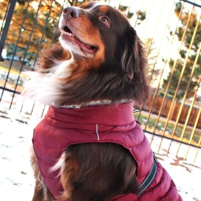 Dog Coat Alpine Extreme Weather Puffer Jacket - Burgundy   XS-5XL - Image 1 of 4