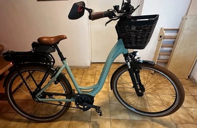 Riese & Müller Swing4 Vario Holland E-Bike mit 11 Monaten Garantie - Bild 1 von 4