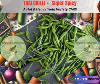 THAI CHILLI - Super Spicy Heavy Yield Chili Pepper 15 Seeds - Image 1 of 3
