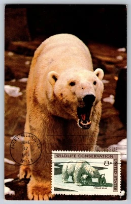 #1429 Wildlife Conservation Polar Bear FDC Maxi Card - Image 1 of 2