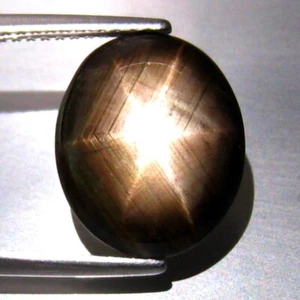 5.52 CT 12x10mm FABULOUS 6 RAYS SPARKLING  NATURAL BLACK STAR SAPPHIRE GEMSTONE - Picture 1 of 3