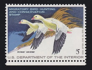 US RW44 $5 Duck Hunting Mint w/PSE Cert Graded 98 Superb OG NH SMQ $135 (001) - Picture 1 of 3