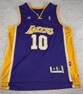 Steve Nash Los Angeles Lakers NBA Basketball Jersey ~ Stitched Purple ~ Adult XL - Picture 1 of 9