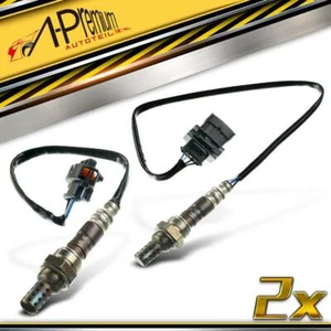 2x Sonda Lambda Opel Astra G T98 Meriva X03 Vectra C Zafira A 1.6L 2000-2006 - Imagen 1 de 7