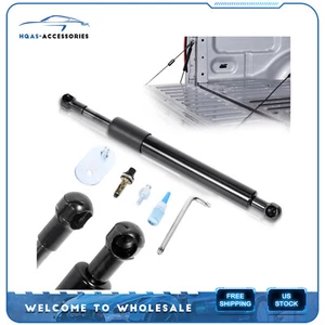 For 99-14 Ford F-250/350 Super Duty DZ43203 Tailgate Assist Struts Lift Support - Picture 1 of 8