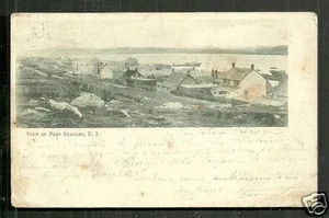 Falkland Islands Port Stanley Panorama Houses ca 1899 - Picture 1 of 1