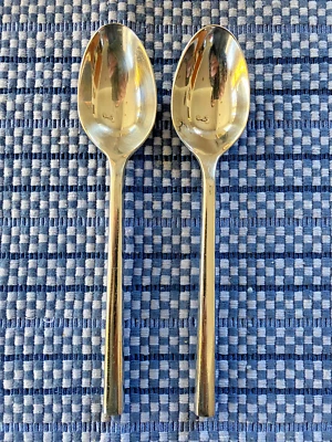 Cubiertos Pottery Barn LUNA de acero inoxidable macizo 18/8 mango cuadrado (2) cucharas de sopa Foto 1 de 4