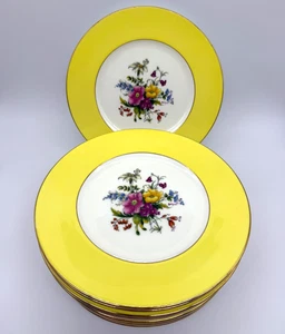 Set of 12 Royal Cauldon x Tiffany Yellow Band Floral 9-1/8" Luncheon Plates 2069 - Picture 1 of 17