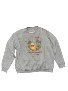Winnie The Pooh Hundred Acre Wood Sweatshirt Size XL Gray Disney - Picture 1 of 4