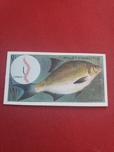 wills's cigarettes the common bream fish card - Picture 1 of 2