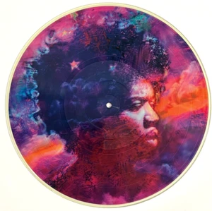 JIMI HENDRIX ~ IN FROM THE STORM 2 SIDED PICTURE DISC THE MUSIC OF JIMI HENDRIX - Picture 1 of 4