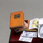 THE PRACTICE OF MEDICINE Miniature Dollhouse 1:12 Scale Illustrated Book