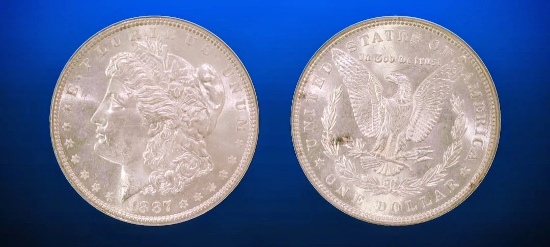 MS 65 Morgan Dollars 1878-1921 for sale | eBay