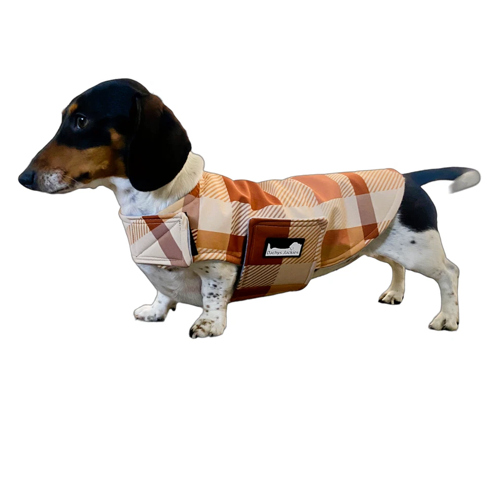 Dachshund coat - Dapper Caramel - Dachys Jackies - Image 1 of 4