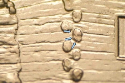 2009 D EC WDDR-048 Lincoln Cent Early Childhood Log Cabin Birthplace Doubled Die - Image 1 of 3
