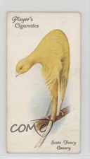 1933 Player's Aviary and Cage Birds Tobacco Scots Fancy Canary #11 2k3