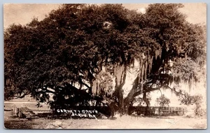 K41/ St Augustine Florida RPPC Postcard c1920 Garnett Grove Tree  33 - Picture 1 of 2