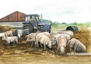 Tractor Leyland con cerdos de Sue Podbery 1000 piezas rompecabezas 690 mm x 480 mm (jg) - Imagen 1 de 1