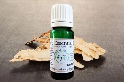 THE AROMATHERAPY SHOP LTD Angelica Root Pure Essential Oil / Organic (Origin: France)