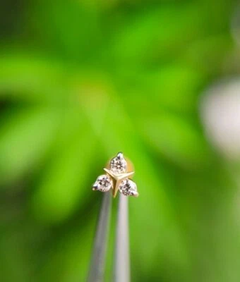 14K Massivgold Runde Diamant Kleine Stecker Ohr/Nasen Cluster Piercing Schmuck. - Bild 1 von 4