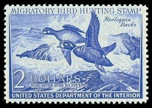 RW19 — 1952 Federal duck stamp - Picture 1 of 1