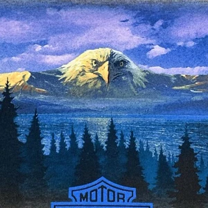 Vintage Harley Davidson Herren XL grau Langarm Hemd Biker Chopper Adler mit Etikett - Bild 1 von 12