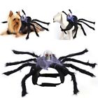 Party Costume Skull Pet Spider Clothes Halloween Black Spider Cosplay Clothes