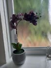 NEXT Black Purple Artificial Real Touch Orchid Flower Silver Ceramic Pot Decor.