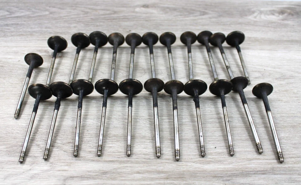 BMW- E70 X5 X6 740LI F01 F02 N55 6 CILINDROS VÁLVULAS DE ADMISIÓN-EXHUAST OEM Foto 1 de 4