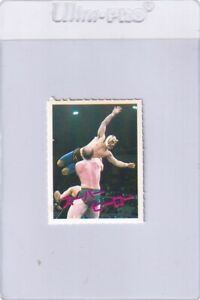 Tiger mask　1982 BBM Pro-Wrestling Magazine Card　Japan