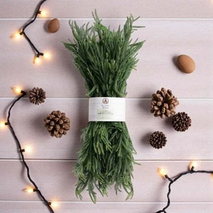 My Texas House Norfolk Pine Soft Natural Feel 9ft. Christmas Garland New 2025 - Picture 1 of 3