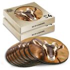 8 x Boxed Round Coasters - Cute Goat Farm Animal #44775