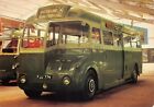 Old Bus Postcard T F Type Coach Large Size Unused Very Good Mint