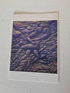 Desert Life Art Card dal dipinto originale di Mark Henson © 1990 - Foto 1 di 2