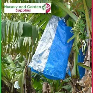 Banana Ripening Bags - Pack of 10 - Fruit Protection Cover - Aus Made - Picture 1 of 6