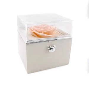 Amore Box - Rosa Rose Schmuck Geschenkbox mit Teddybär Knopf (nur Box) - Bild 1 von 10