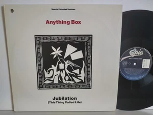 ANYTHING BOX - "JUBILATION" (THIS THING CALLED LIFE) 5 MIXES! / EPIC RECORDS '90 - Picture 1 of 4