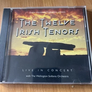 The 12 Irish Tenors - Live In Concert - Wellington Sinfonia Orchestra - Picture 1 of 3