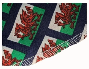 Childs Wales Flag Welsh Sports Supporters St Davids Day Skater Skirt Fancy Dress - Picture 1 of 3
