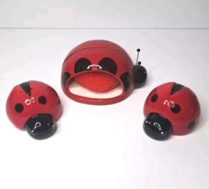 Vintage Marienkäfer Keramik Scheuerschwamm Pad Halter & Salz Pfefferstreuer LESEN - Bild 1 von 17