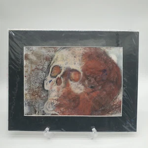 Schädelmalerei Reefka mattiert Pastell 2004 - Bild 1 von 6