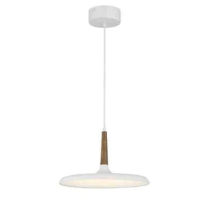 Minka Lavery 1-Light Matte White and Painted Wood Grain Cone LED Pendant Light - Picture 1 of 9
