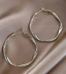 Textured Twist Design Hoop Earrings - Picture 1 of 1